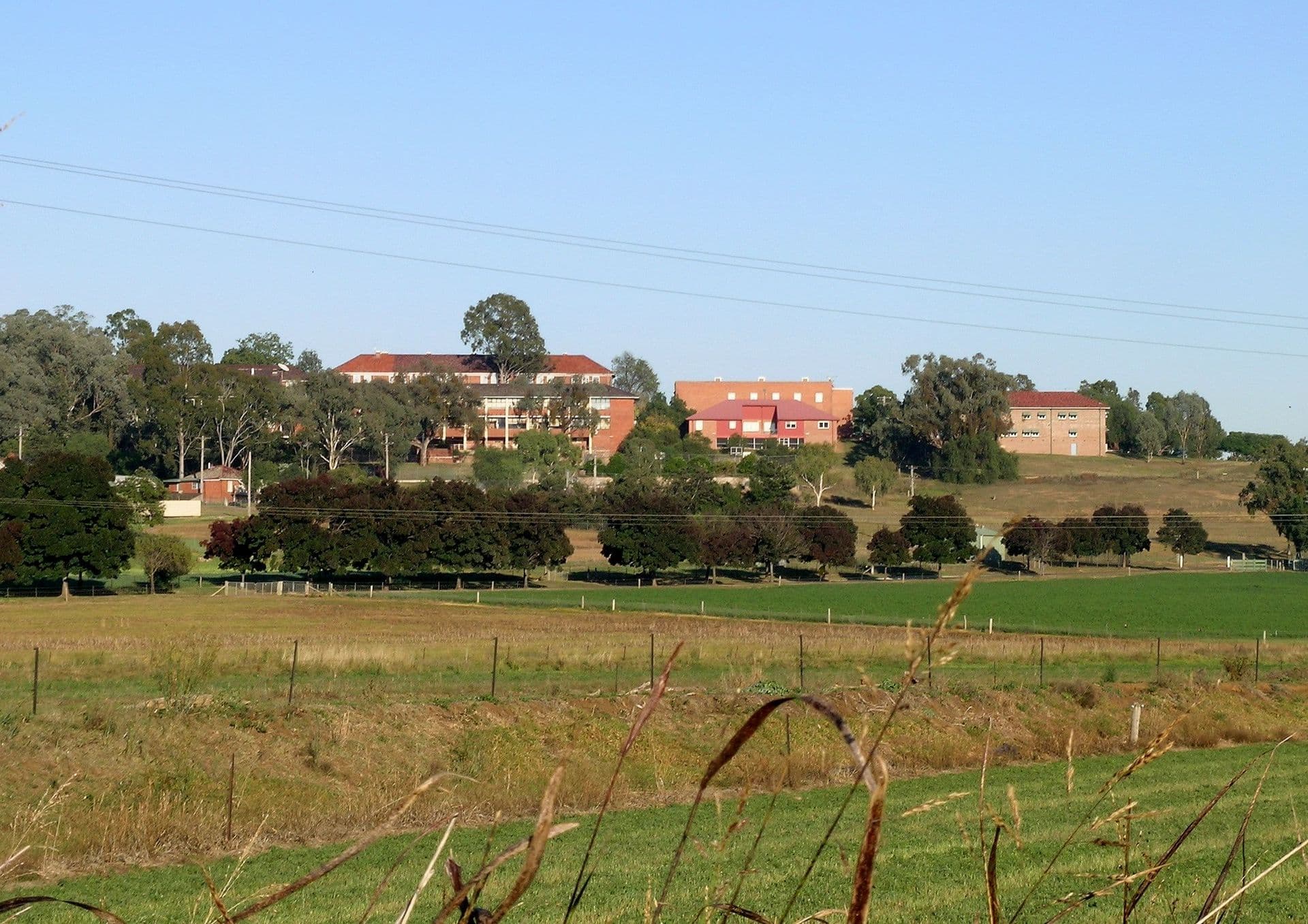 Calala