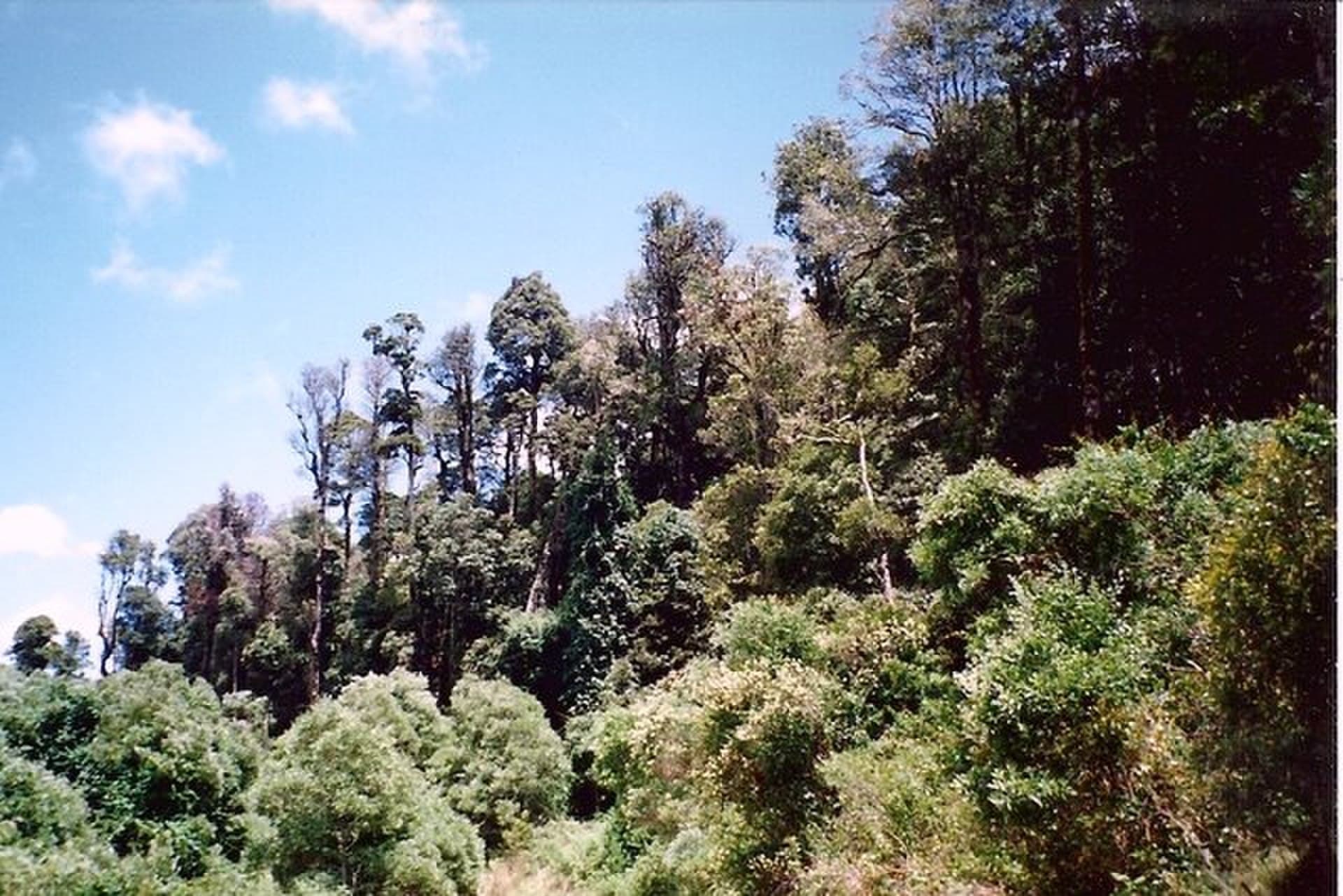 Hyland Park