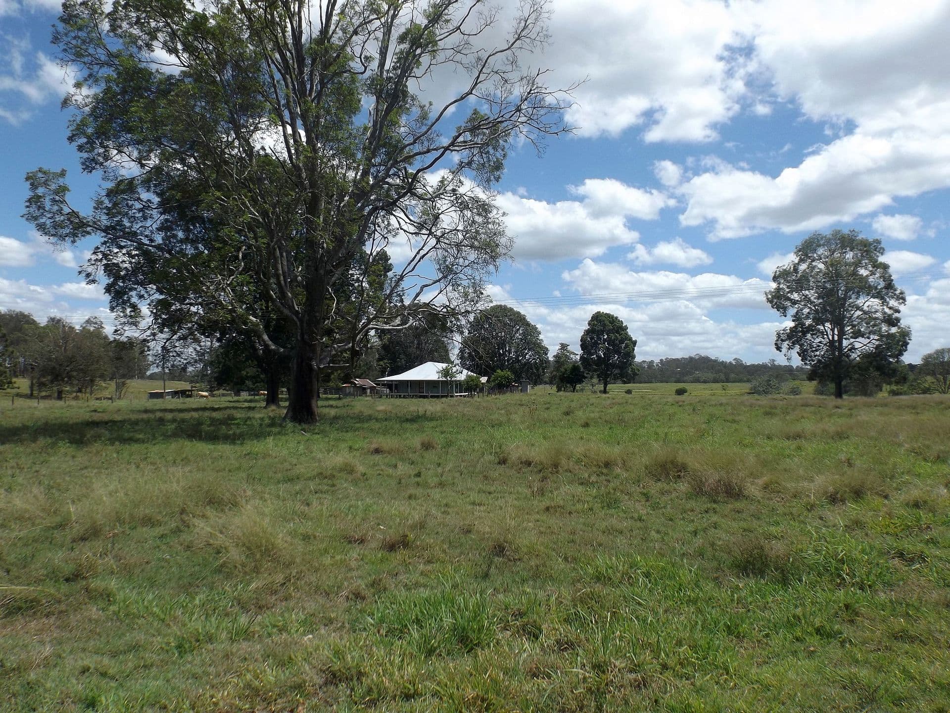 Is Cedar Vale, QLD a good place to live?